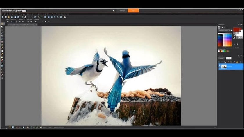 Corel PaintShop Pro (Free Trial Available) - easy photo editing software