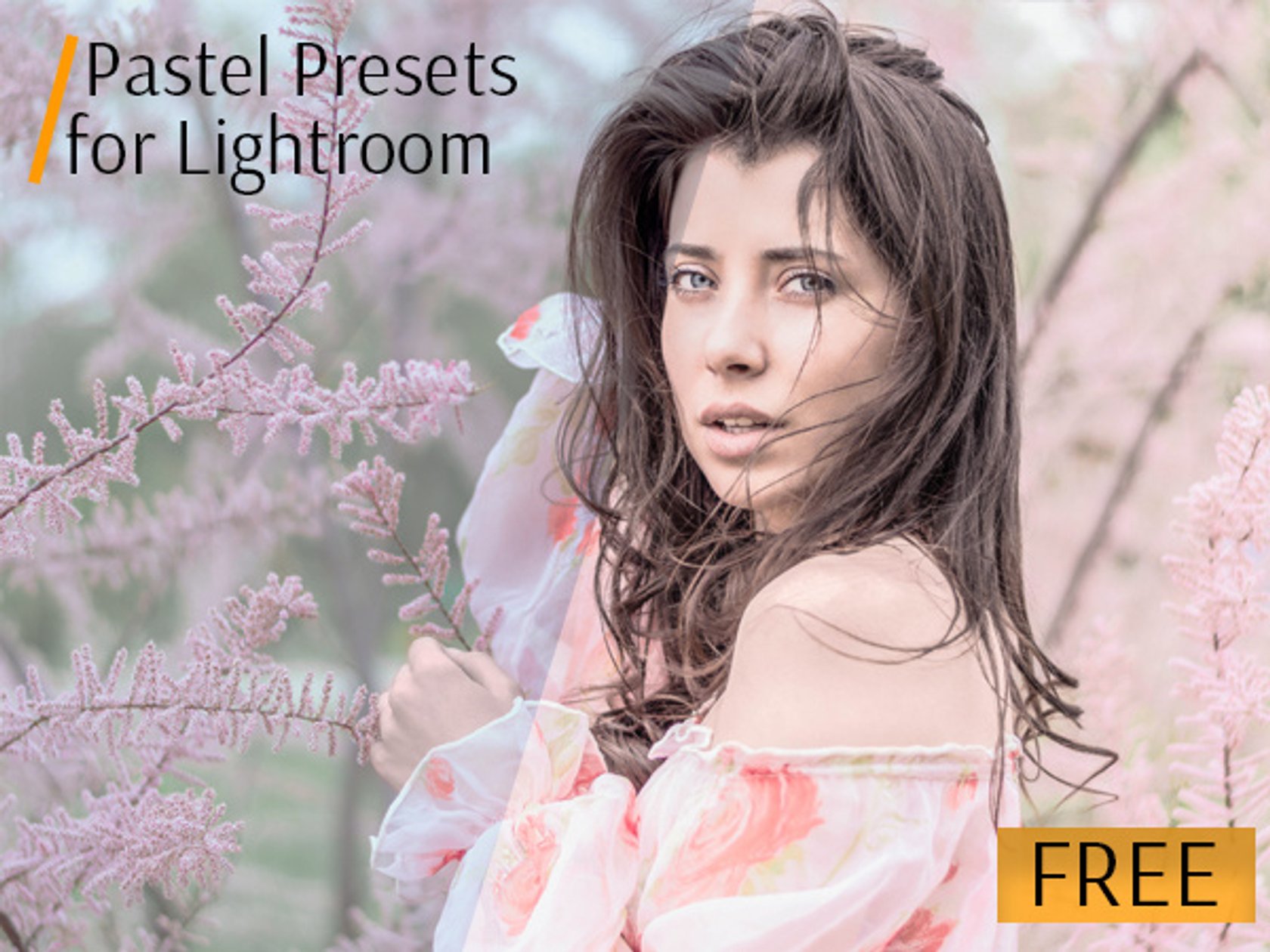 The 53 Best Lightroom Presets Free and Paid