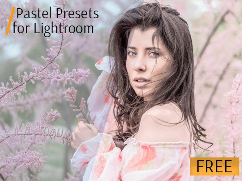 The 53 Best Lightroom Presets: Free and Paid(6)