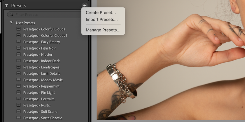 Best Lightroom Presets: Free Lightroom Presets for Mobile & Desktop | Skylum Blog(11)