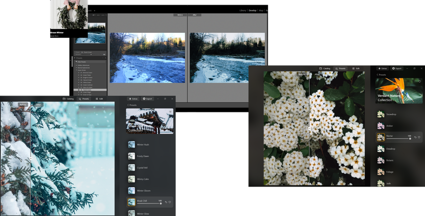 Best Lightroom Presets: Free Lightroom Presets for Mobile & Desktop | Skylum Blog(7)