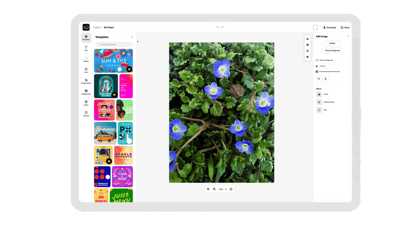 Canva Alternative In 2025: 22 Picks For Designers  | Skylum Blog(5)