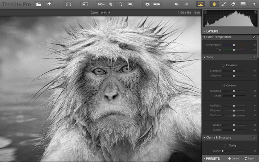 Tonality Pro Now Includes Support of Photoshop Smart Objects | Skylum Blog(2)