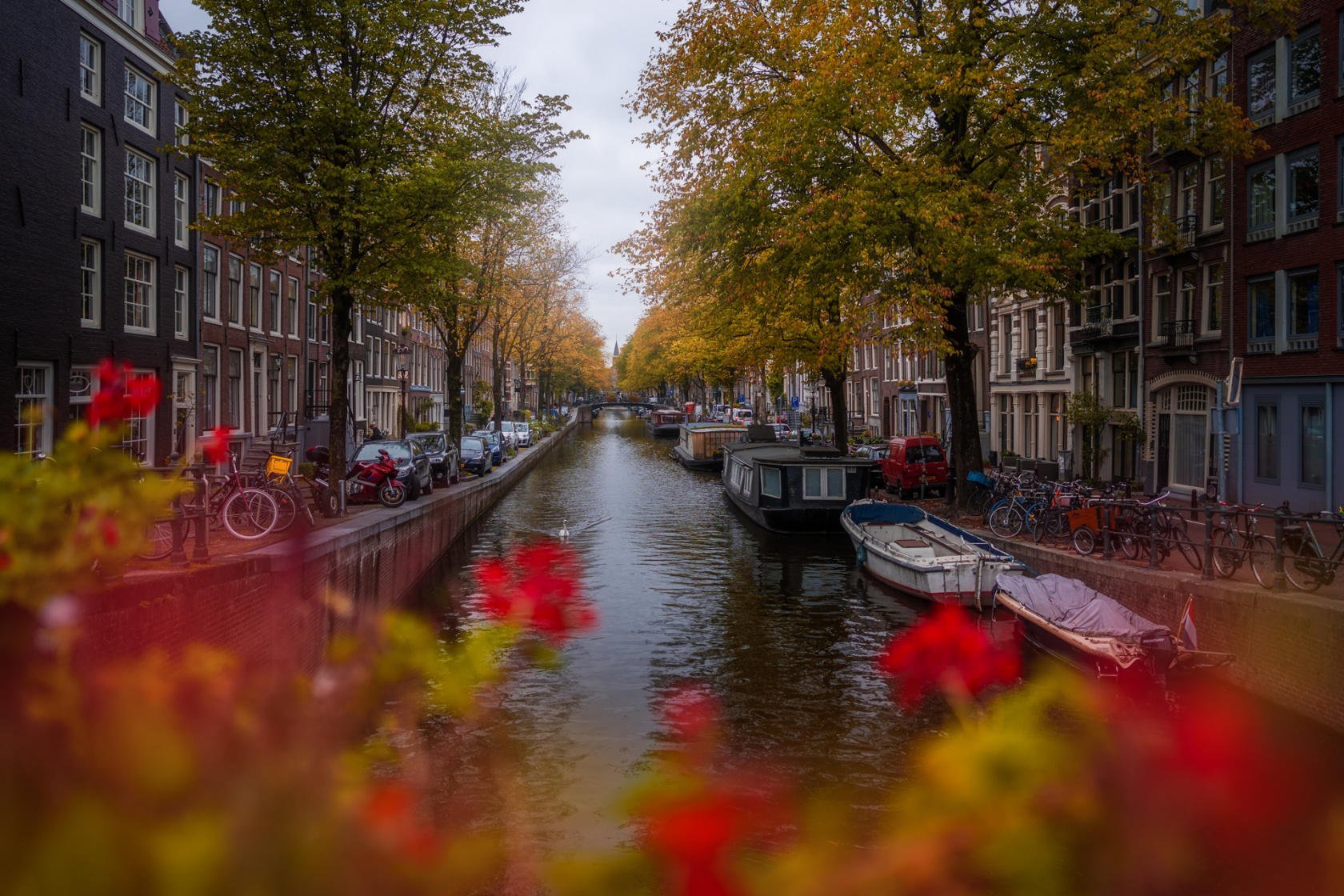 20 Photos of My Hometown of Amsterdam During Different Seasons Image9