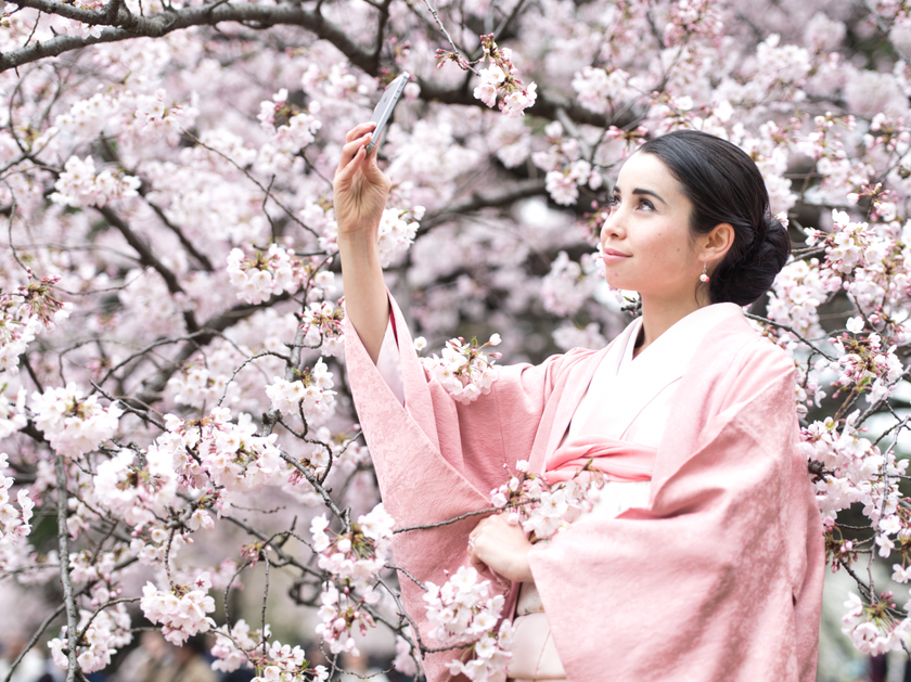 桜の撮影(2)