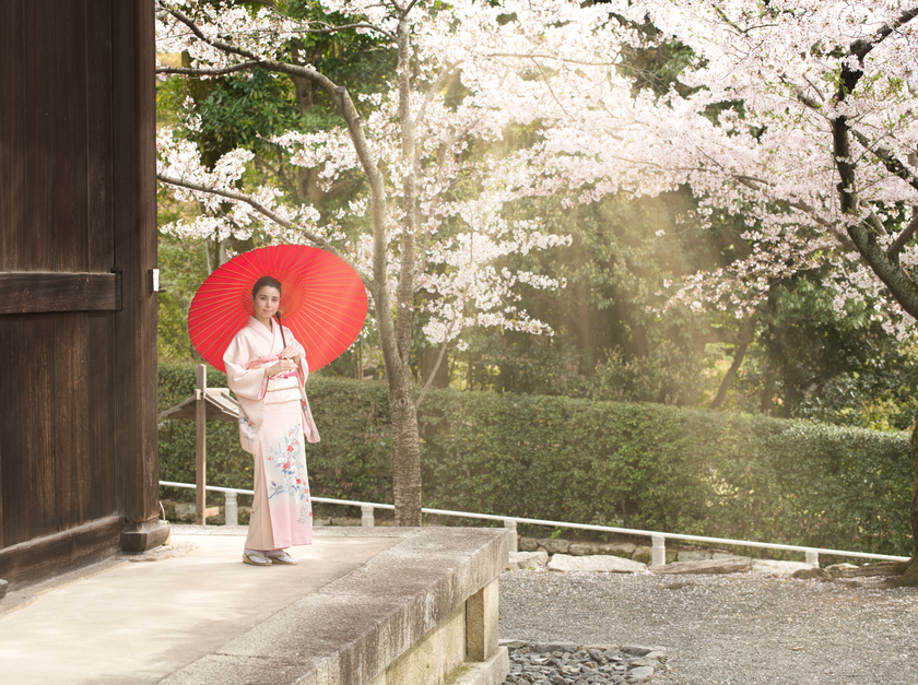 桜の撮影 Image4