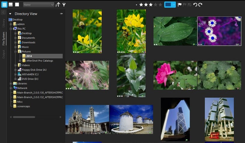 Best Photo Management Software for Photography Enthusiasts in 2024 | Skylum Blog(4)