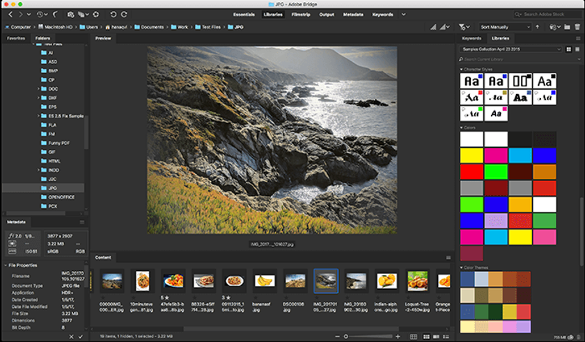 Best Photo Management Software for Photography Enthusiasts in 2024 | Skylum Blog(9)
