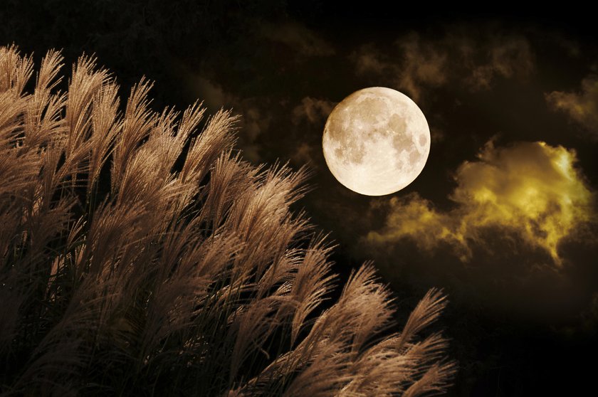 月を綺麗に撮影する Image3
