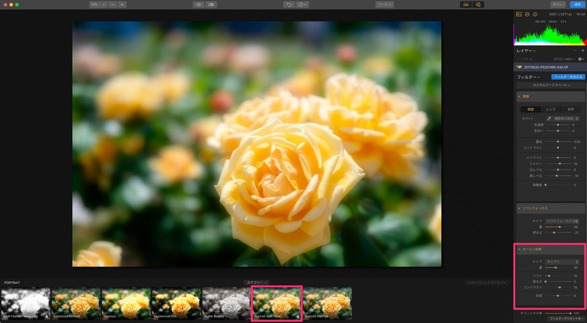Luminar初心者にオススメしたい、プリセット機能を使った写真編集方法 Image14