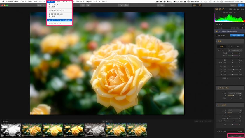 Luminar初心者にオススメしたい、プリセット機能を使った写真編集方法 Image15