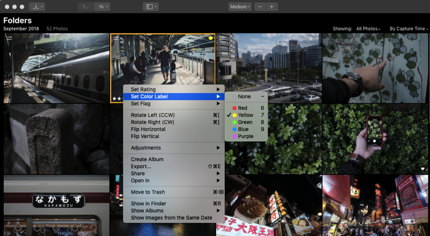 ライブラリ機能搭載Luminarでは写真にラベルや評価を付ける事が可能に Image4