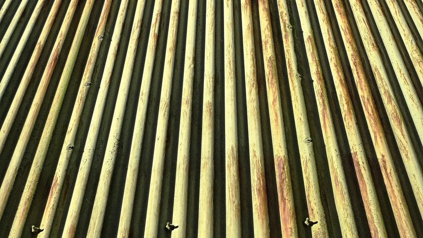 Tips for Using Vertical Lines in Your Composition Image1