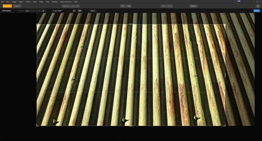 Tips for Using Vertical Lines in Your Composition Image4