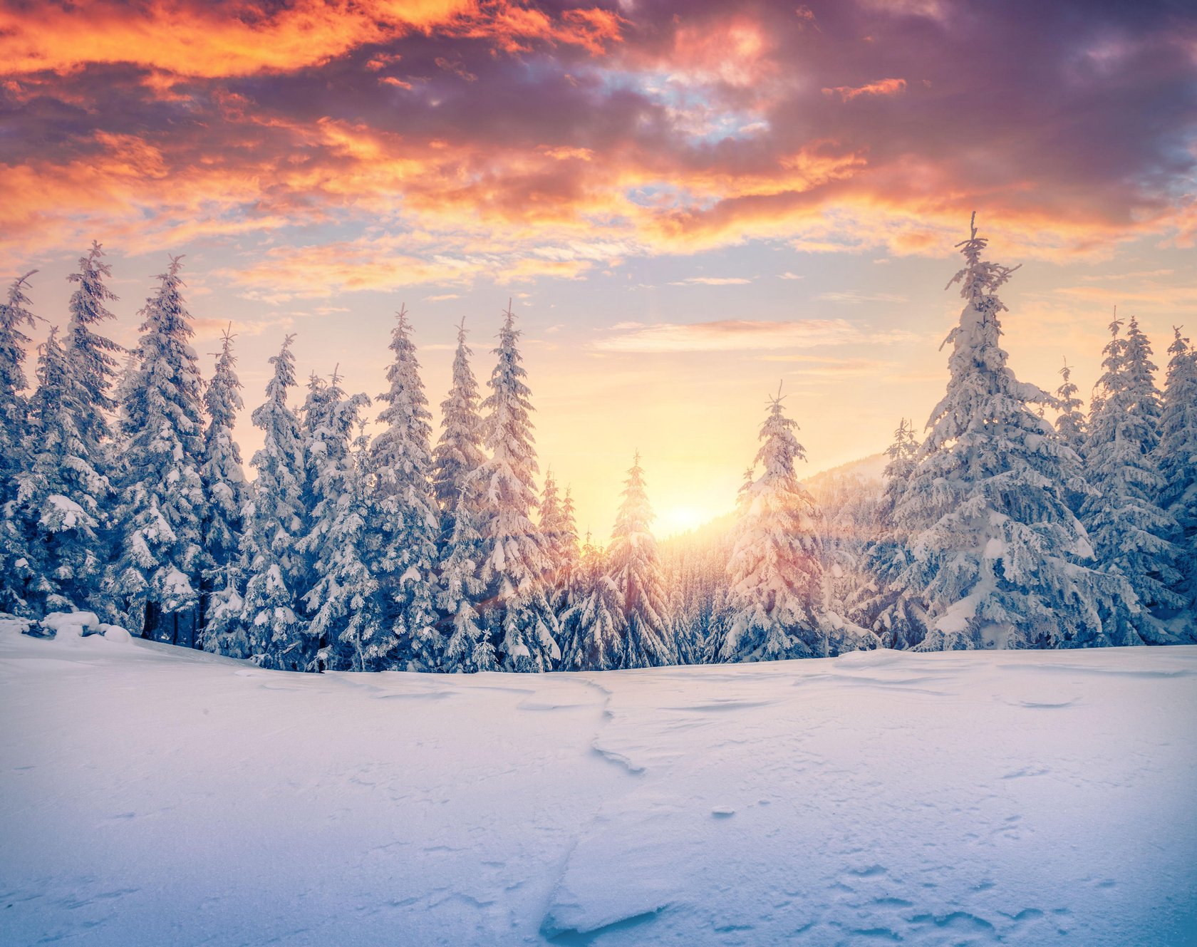 christmas scenes basic rules