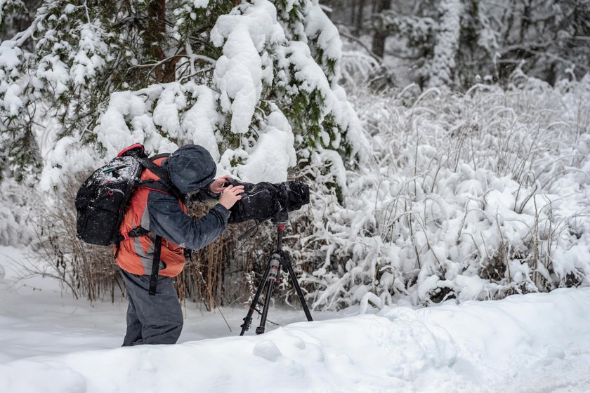 Christmas Scenes: Basic Rules for a Photoshoot  | Skylum Blog(4)