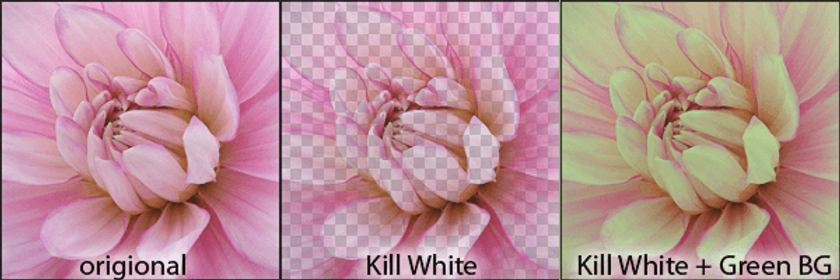 Kill White (Windows) - photoshop plugin to removes white from an image