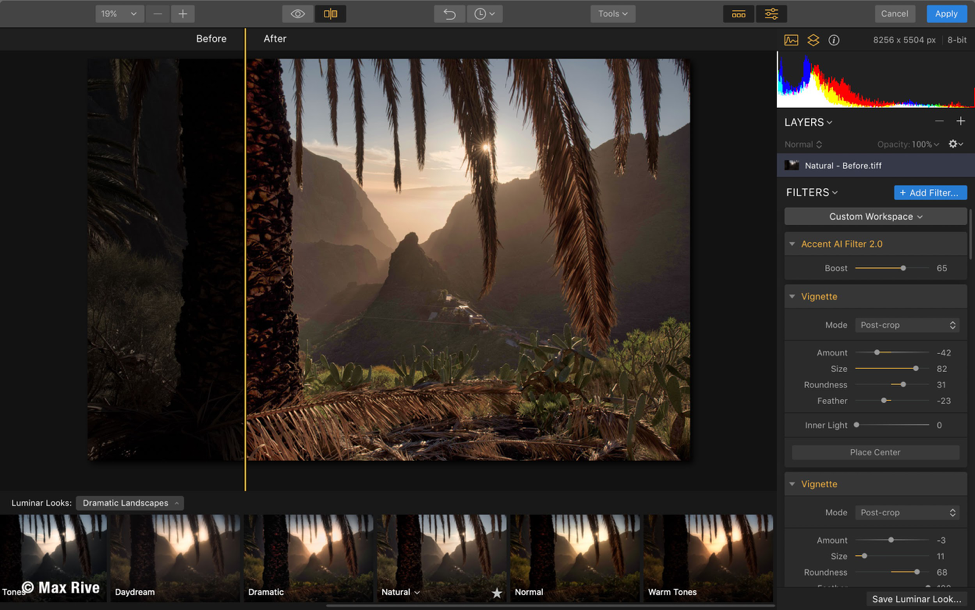 download luminar flex