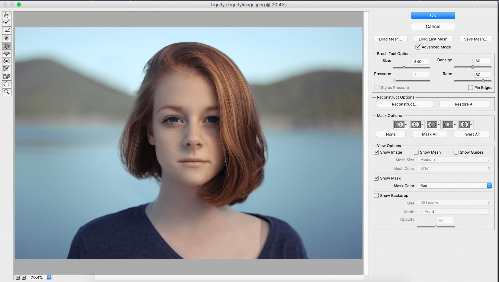 How to Use the Liquify Tool in Photoshop: Mastering the Basics Image9
