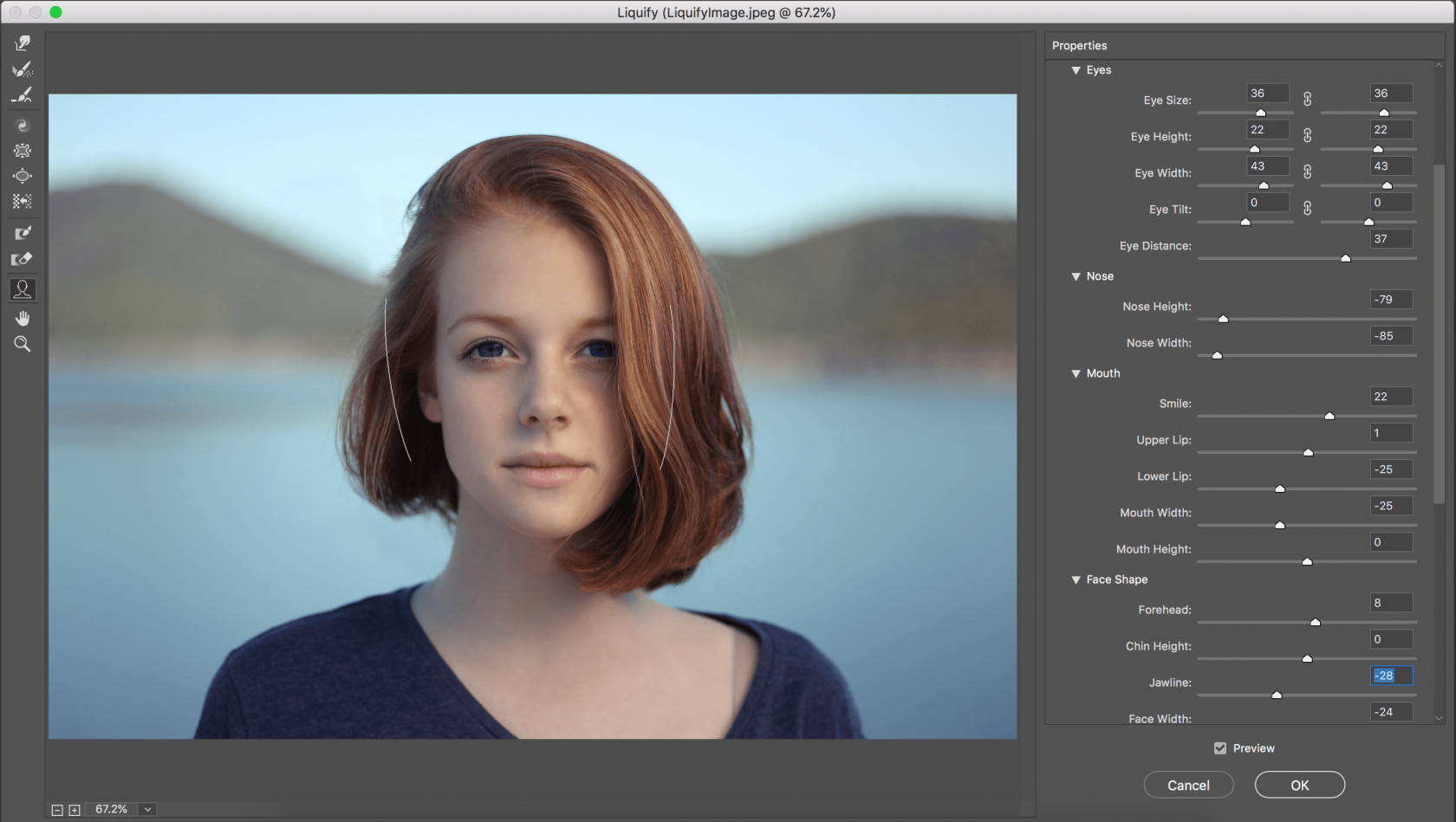 How to Use the Liquify Tool in Photoshop Image12
