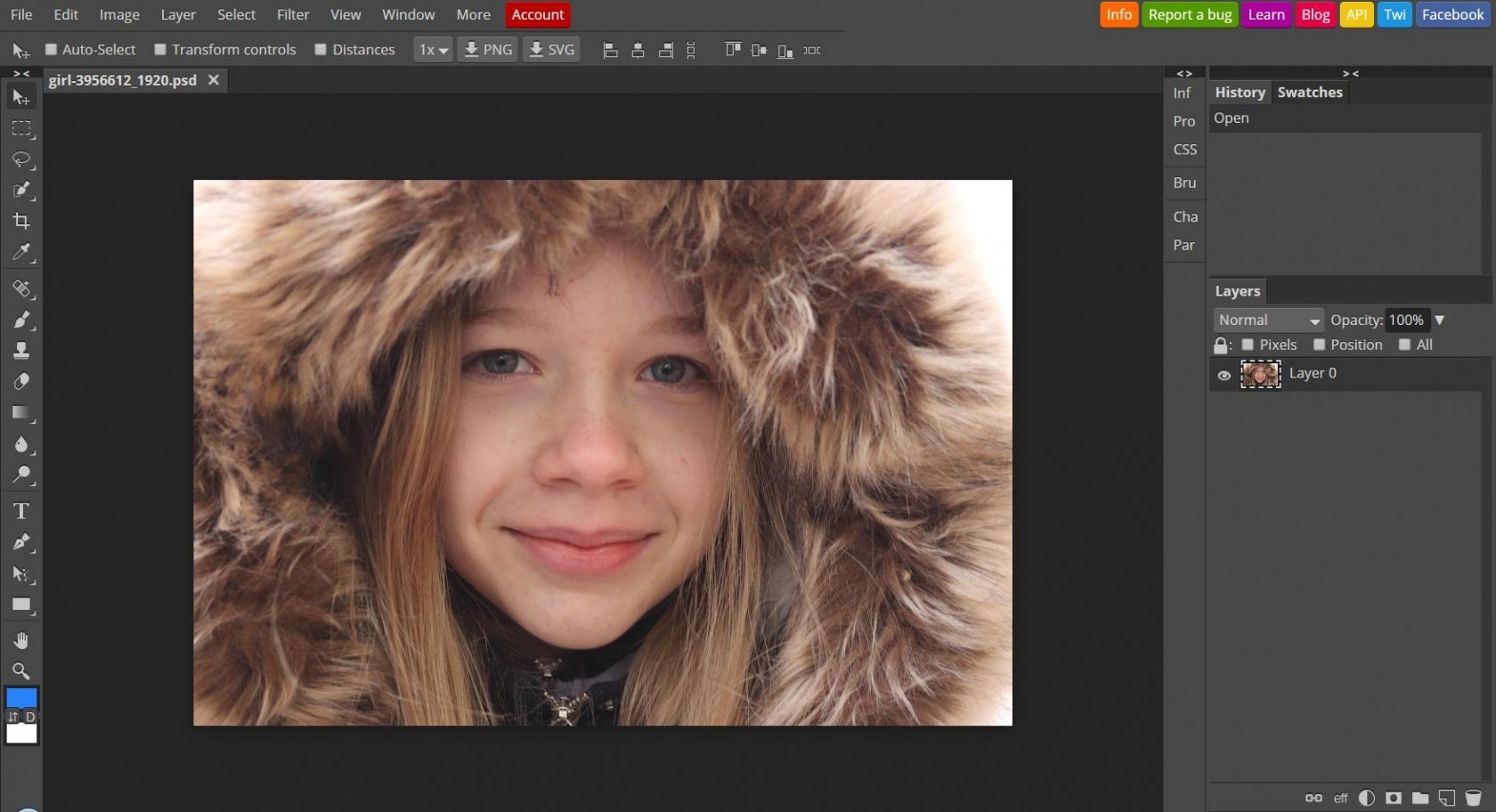 MasterTuts - PixLR Editor - Alternativa Online e Gratuita para edição de  imagens. Se você precisa fazer edições nas suas imagens e não tem instalado  o Photoshop ou o GIMP, a Autodesk