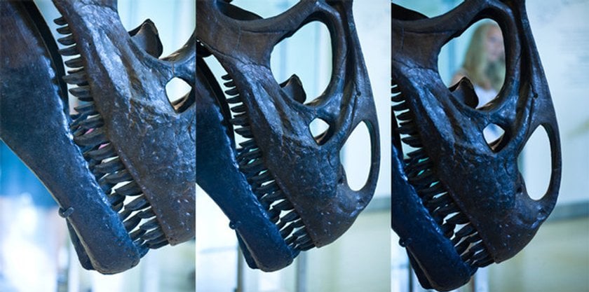 Tips For Choosing Your Best Images Skylum Blog Tips For Choosing Your Best Images Skylum Blog