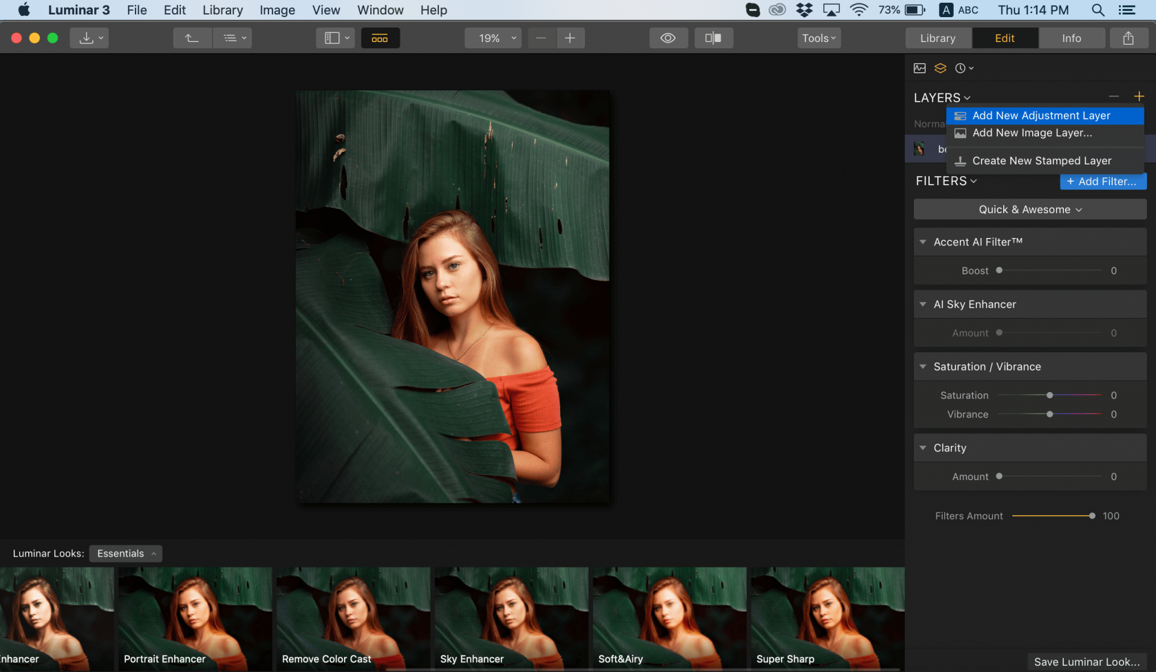 Cómo difuminar una imagen Skylum Howto