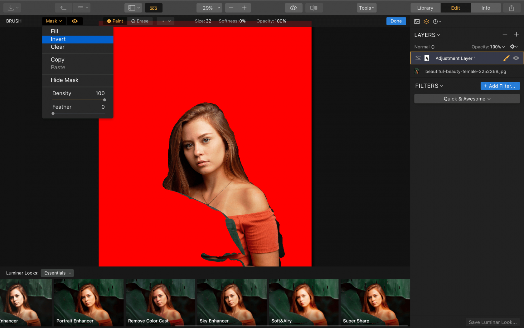 Cómo difuminar una imagen Skylum Howto