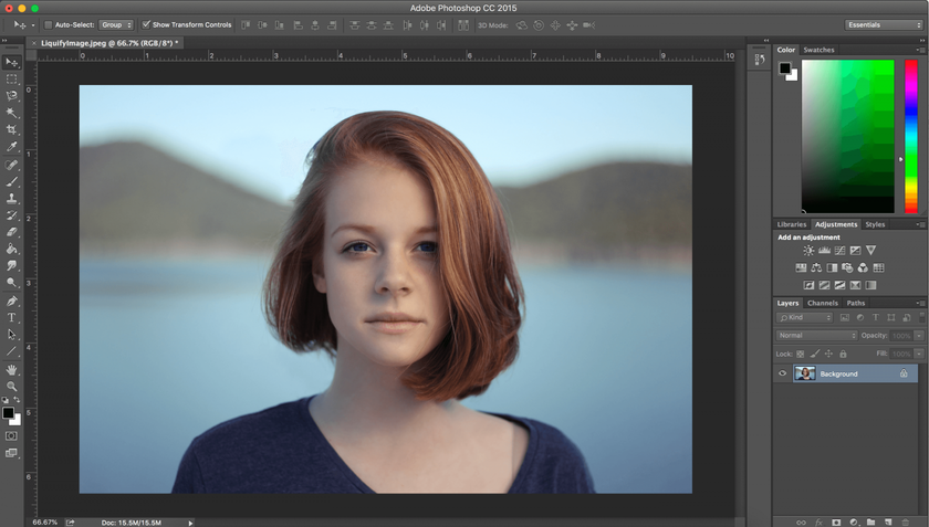 Cómo utilizar la herramienta Licuar en Photoshop: dominar los conceptos básicos Image1