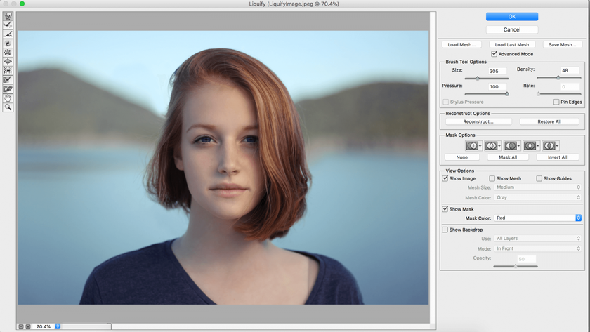 Cómo utilizar la herramienta Licuar en Photoshop: dominar los conceptos básicos Image7