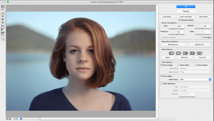 Cómo utilizar la herramienta Licuar en Photoshop: dominar los conceptos básicos Image8