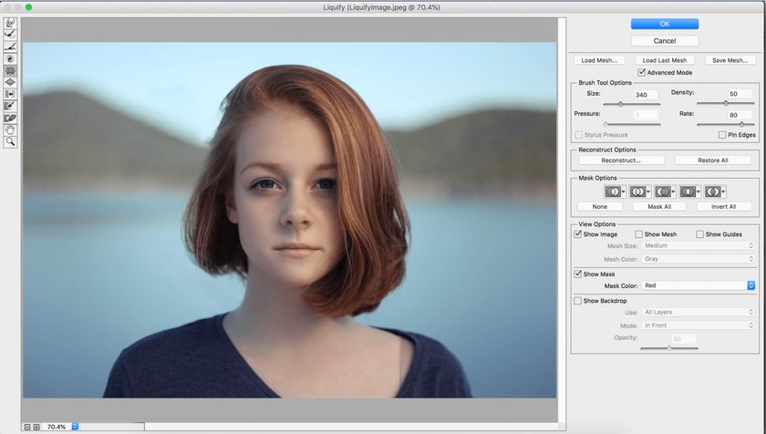 Cómo utilizar la herramienta Licuar en Photoshop: dominar los conceptos básicos Image9