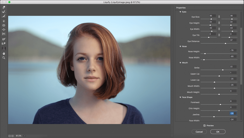 Cómo utilizar la herramienta Licuar en Photoshop: dominar los conceptos básicos Image12