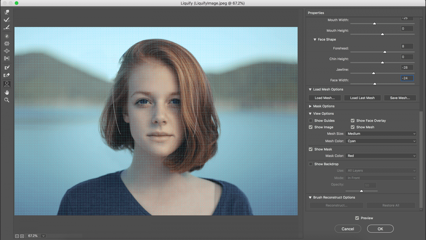Cómo utilizar la herramienta Licuar en Photoshop: dominar los conceptos básicos Image13