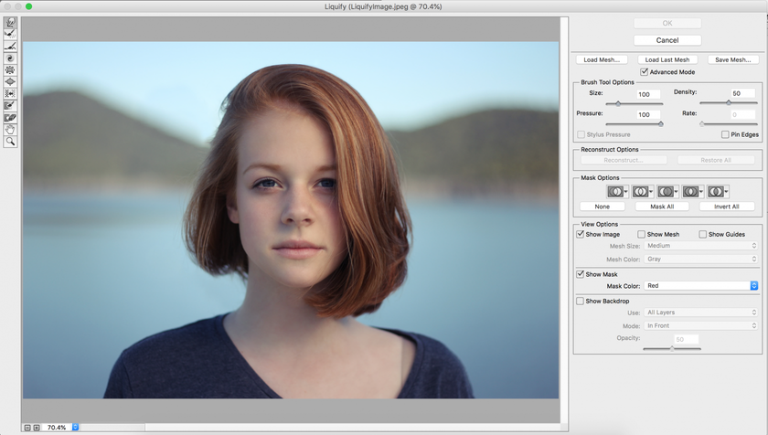 Wie verwendet man das Tool Verflüssigen in Photoshop: Grundlagen beherrschen Image5