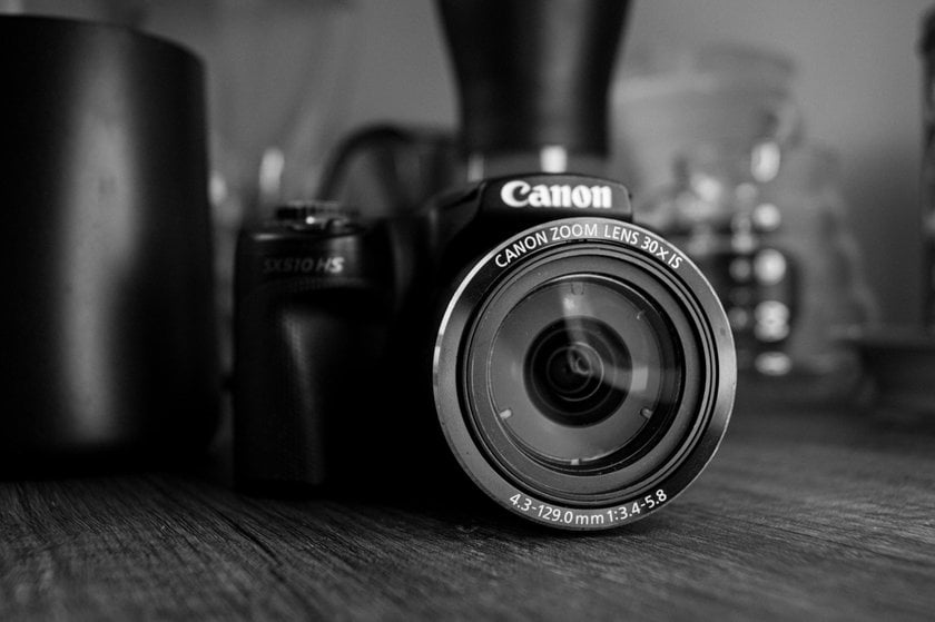 Best cameras for macro photography in 2024 | Skylum blog | Skylum Blog(3)