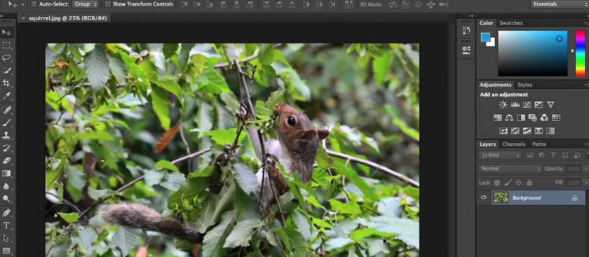 Photoshop vs GIMP: Is Gimp As Good As Photoshop In 2024  | Skylum Blog(3)