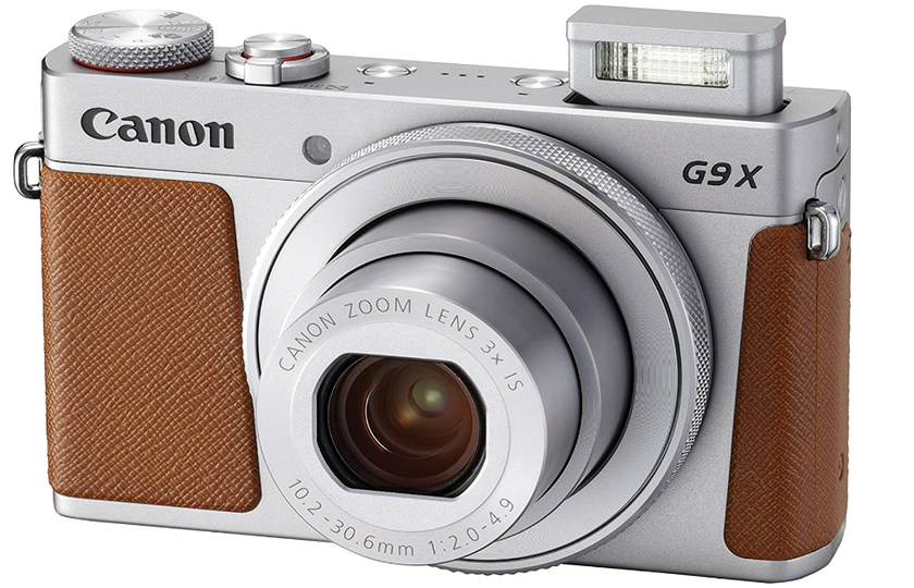 Best Travel Cameras for 2024: Choosing Compact Cameras for Your Adventures | Skylum Blog(7)