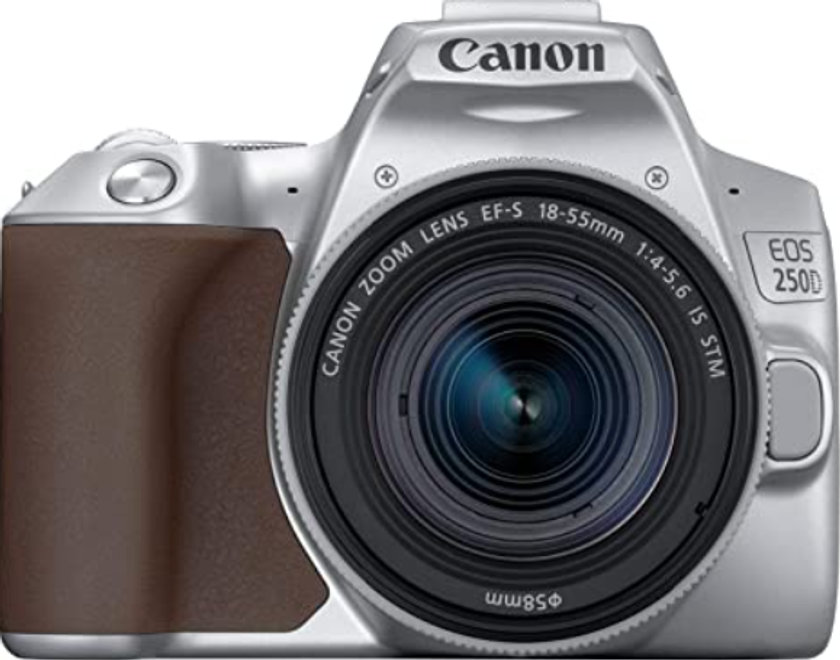 8. Canon EOS 250D