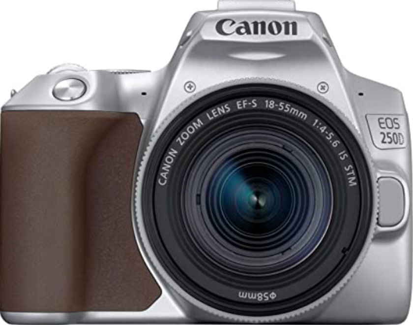 Top 10 Best Cheap Cameras in 2024: Choosing a Budget-Friendly Option | Skylum Blog(13)