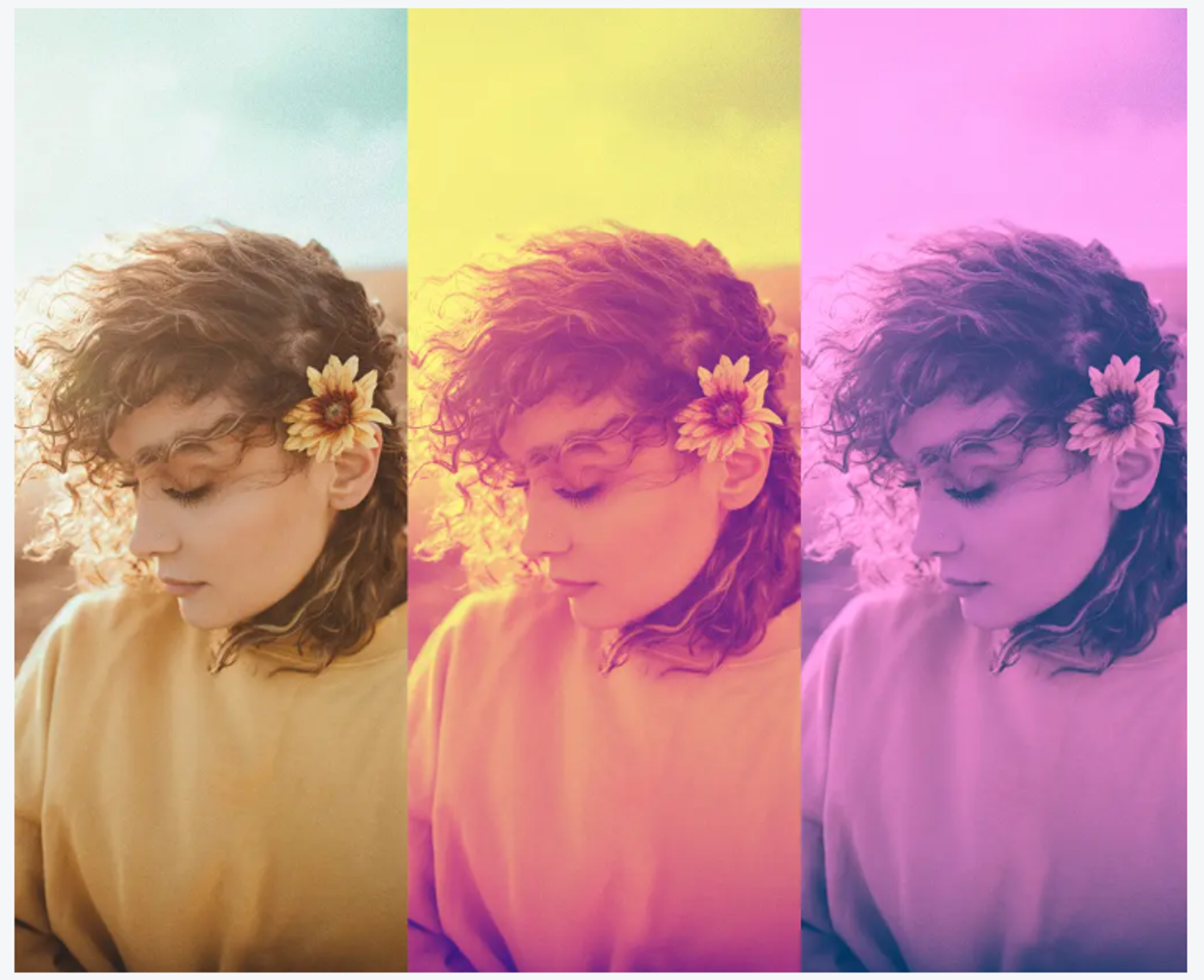 Best online photo editor (photo editing websites) in 2024