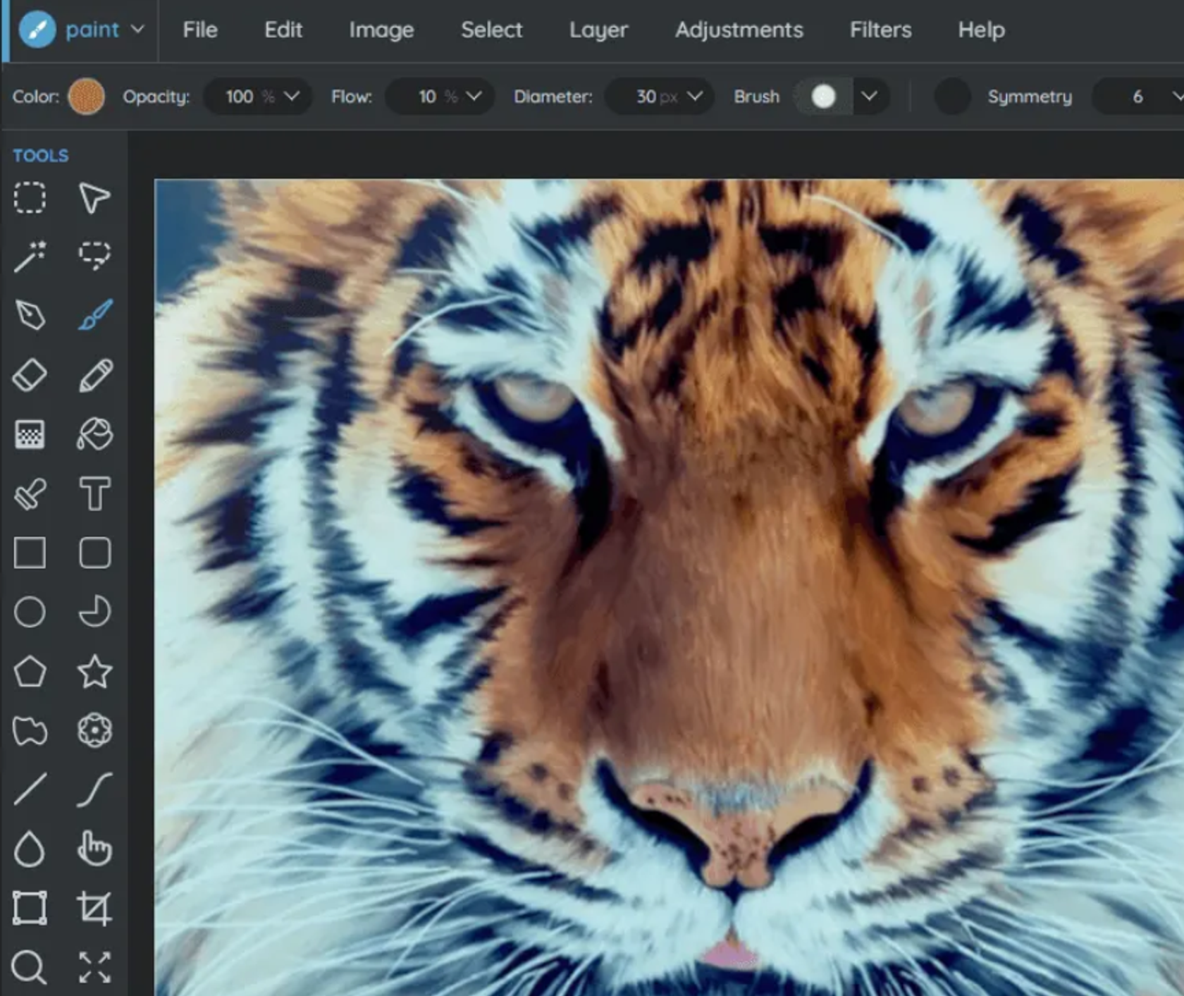 Online Photo Editor  Ribbet Easy Online Image Editing