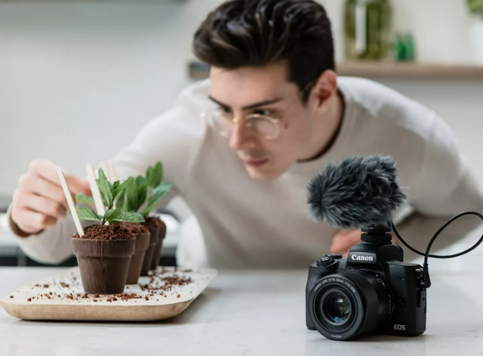 5 Sony Cameras for Beginners to Improve at Photography