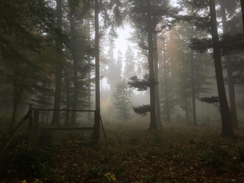What is Noise in Photography? Understanding and Reducing Image Noise (4)