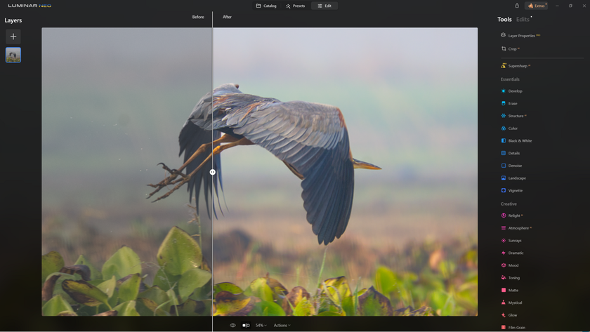 Comment rendre plus nettes les images floues de la faune avec Supersharp AI ?