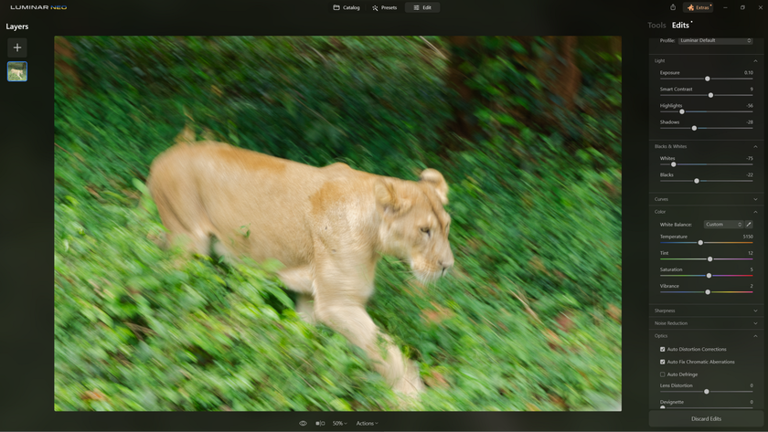 How to Sharpen Blurry Images of Wildlife with Supersharp AI?(6)