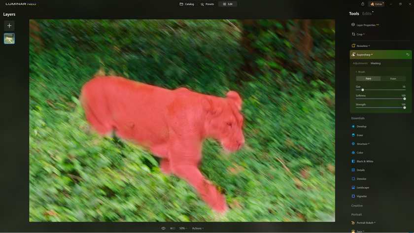 How to Sharpen Blurry Images of Wildlife with Supersharp AI?(10)