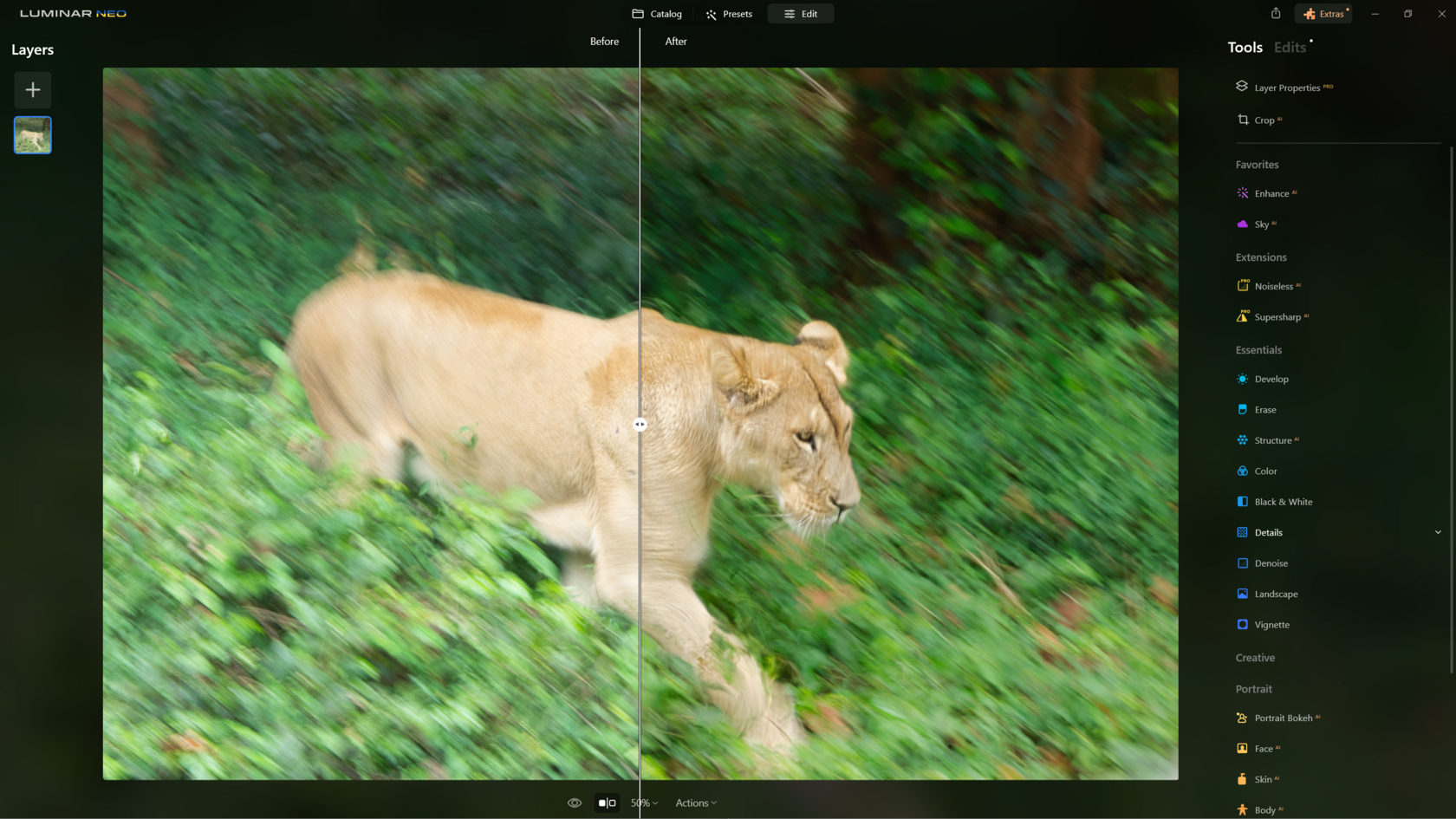 How to Sharpen Blurry Images of Wildlife with Supersharp AI? Skylum Blog
