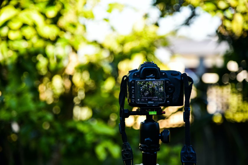 Freelance Photography: Strategies for Booking Jobs and Achieving Full-Time Success | Skylum Blog(9)