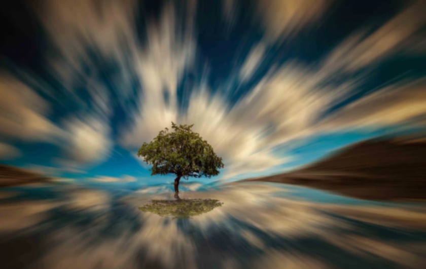 Blurred Photo Magic: Discovering the Enchanting Beauty Within | Skylum Blog(7)